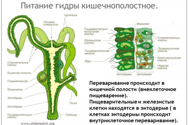 Кракен тор ссылка сегодня