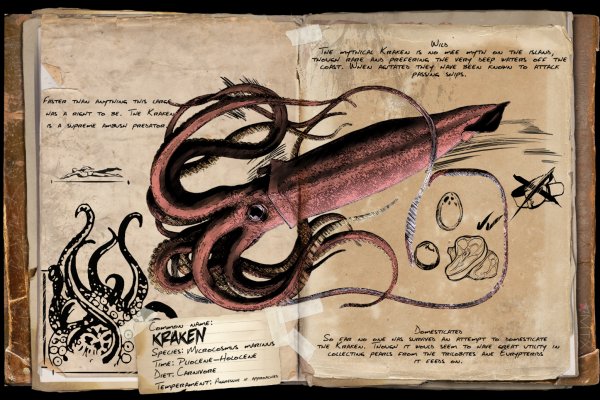 Kraken url