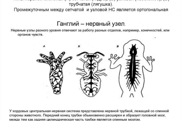 Полезные сайты тор