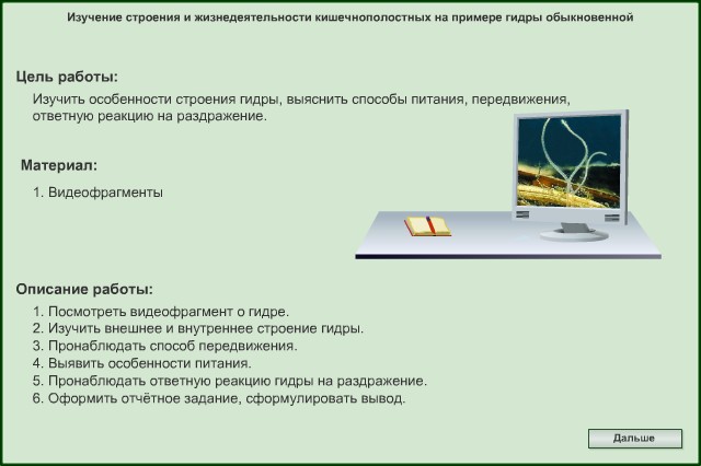 Зеркало крамп для тора 2022