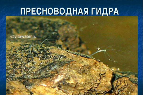 Сайт кракен телеграмм